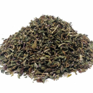 Menta Poleo